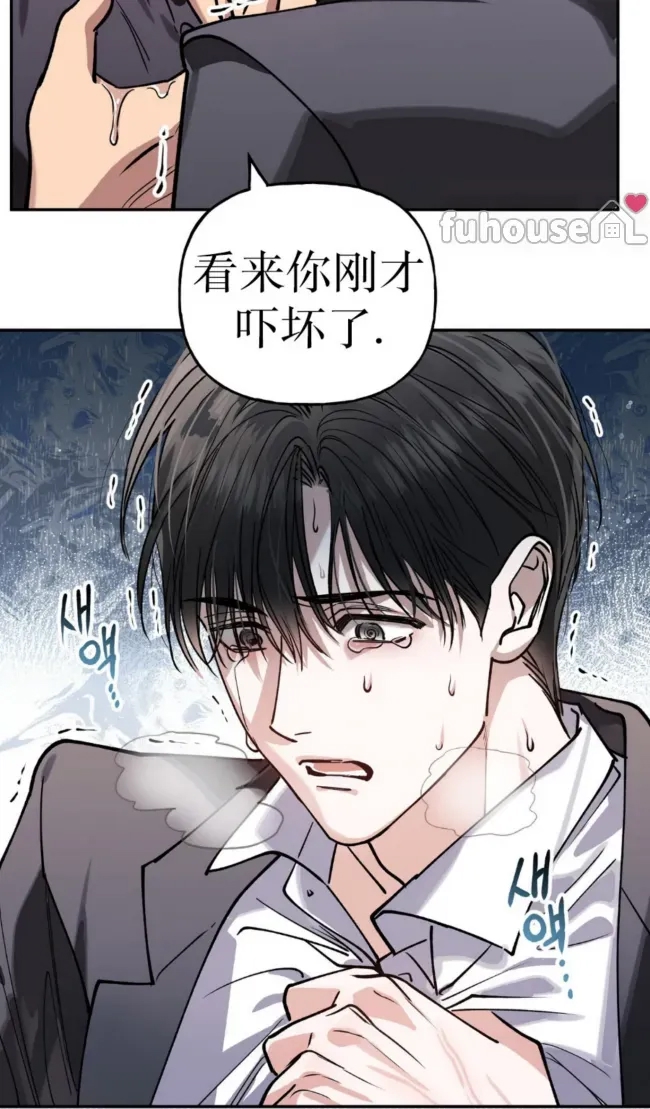 第 41 页