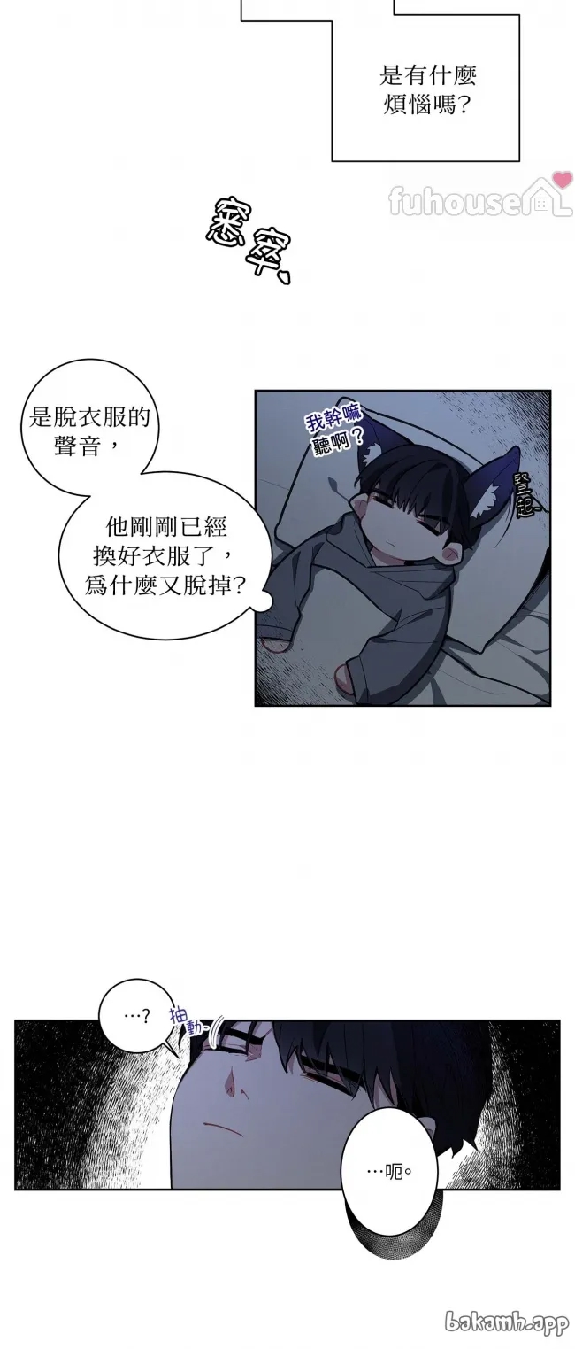 第 41 页