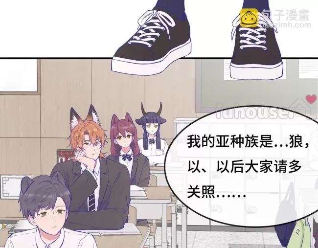 第 61 页
