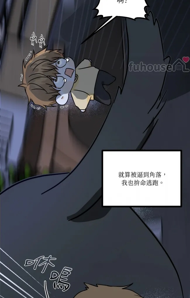 第 51 页