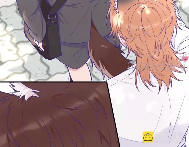 第 126 页