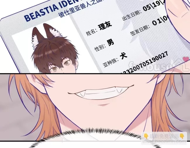 第 113 页