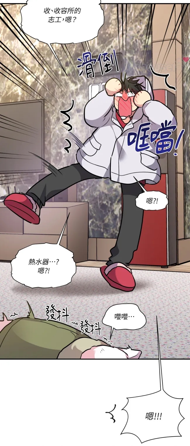 第 43 页
