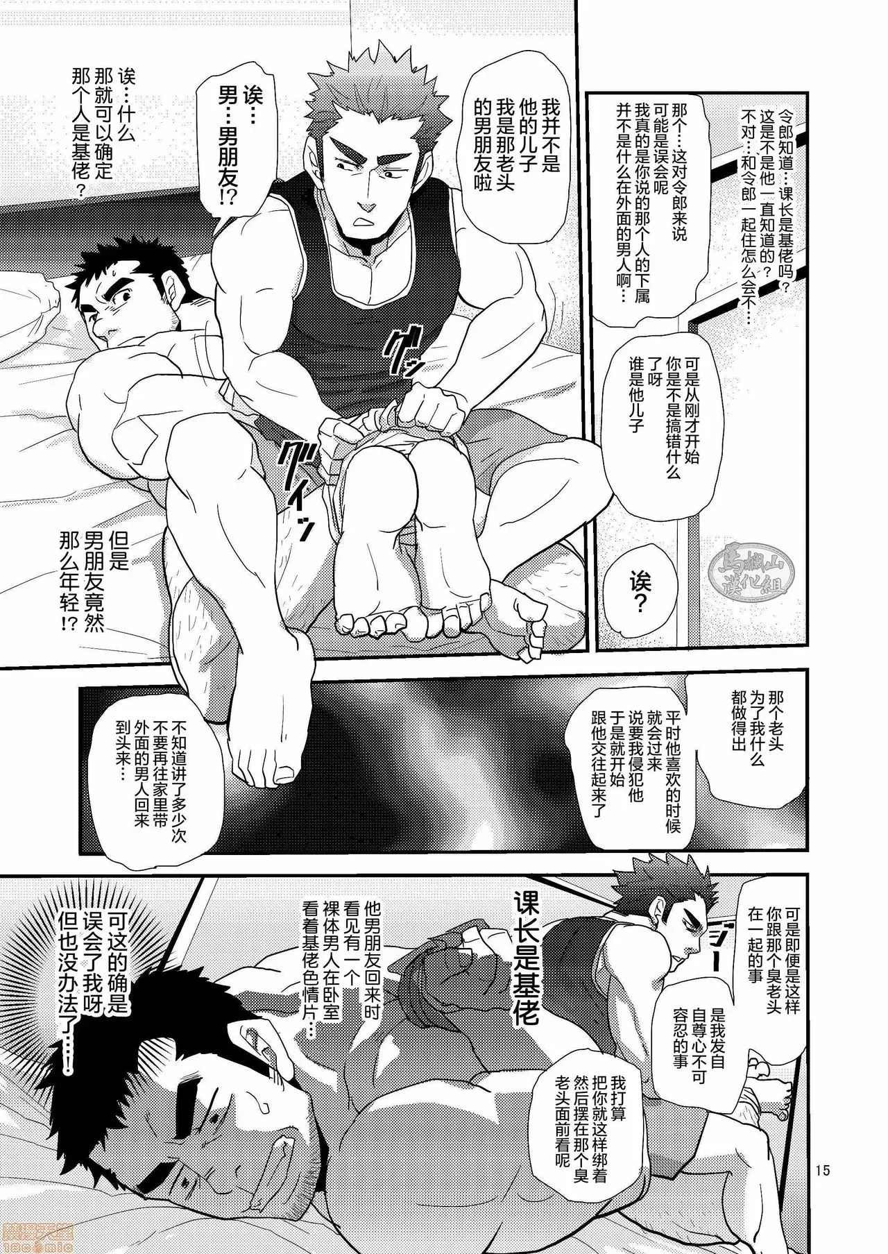 第 15 页