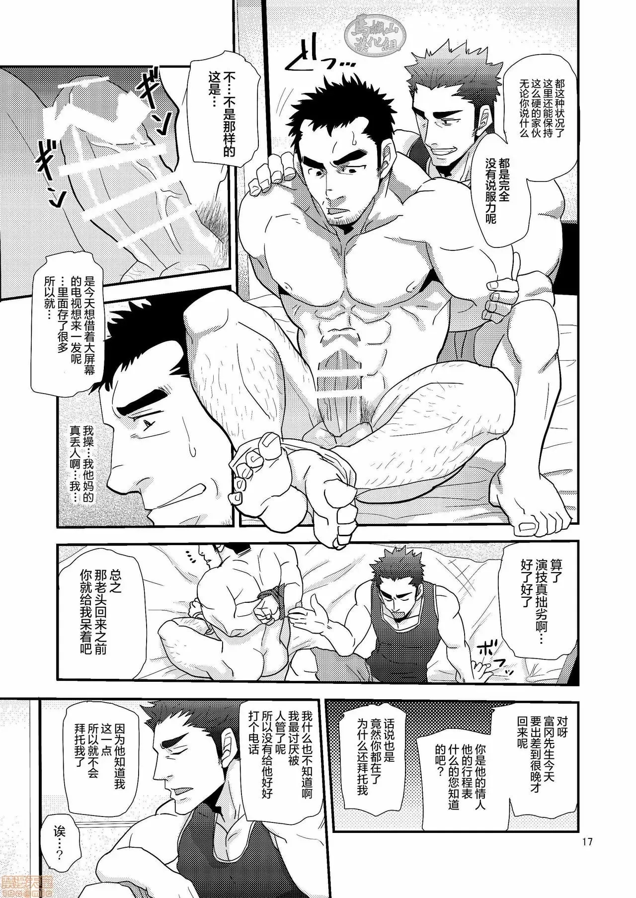 第 17 页