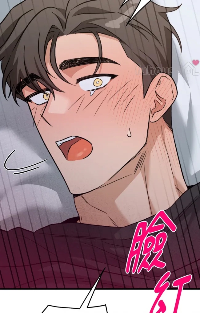 第 113 页