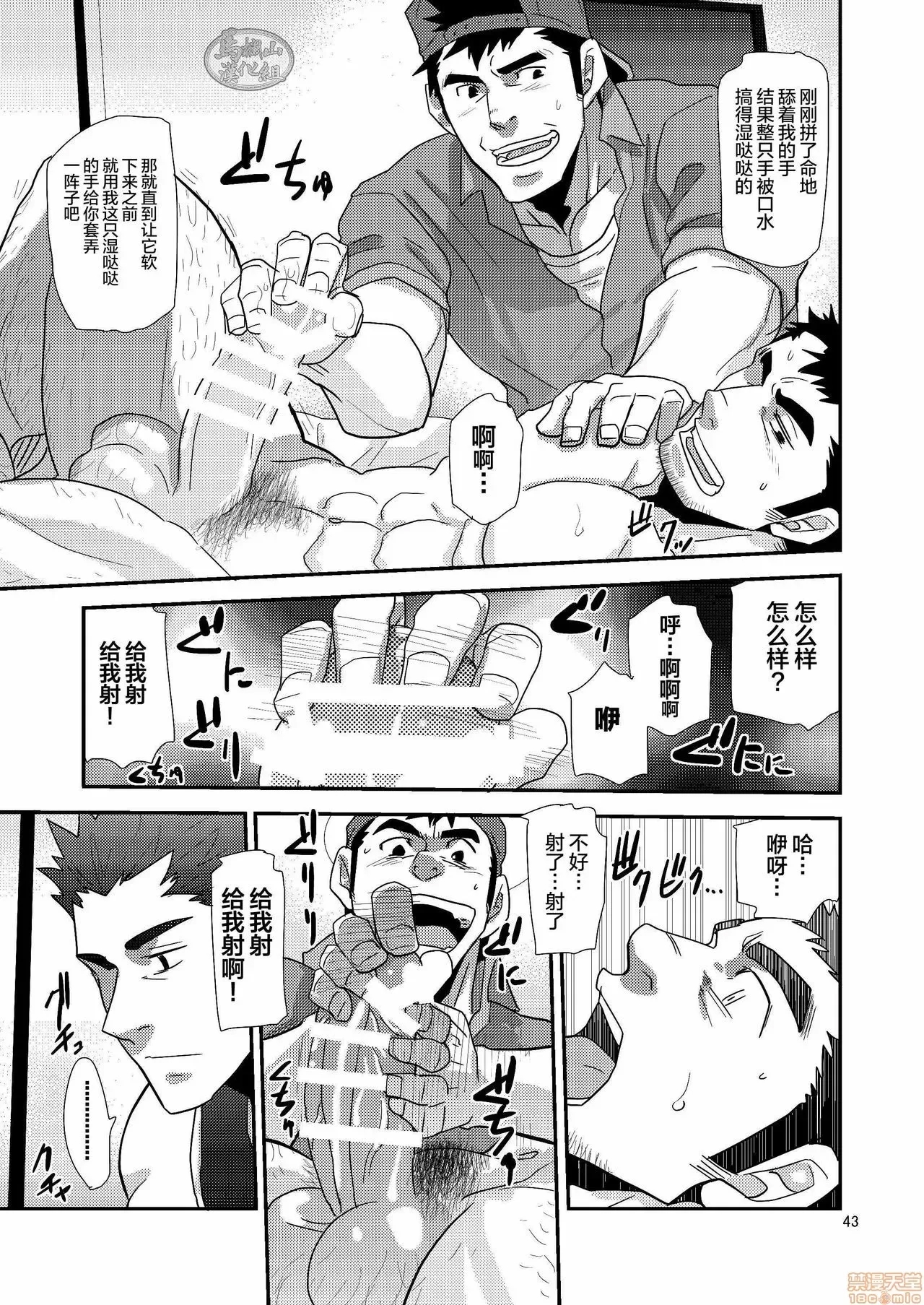 第 43 页