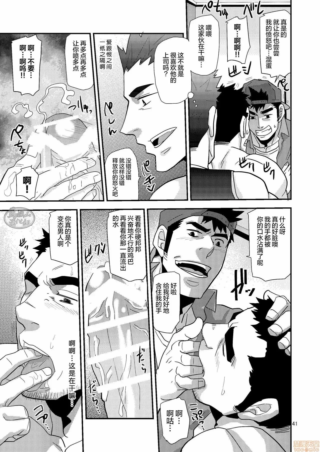 第 41 页