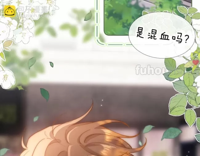 第 52 页