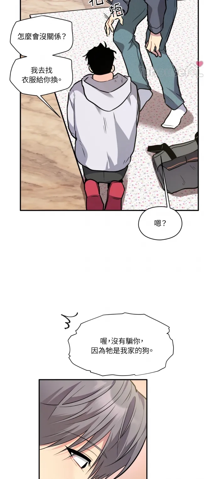 第 53 页