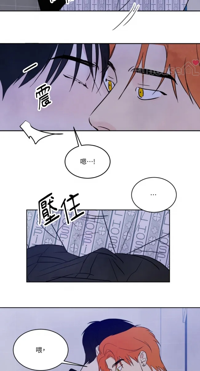 第 56 页