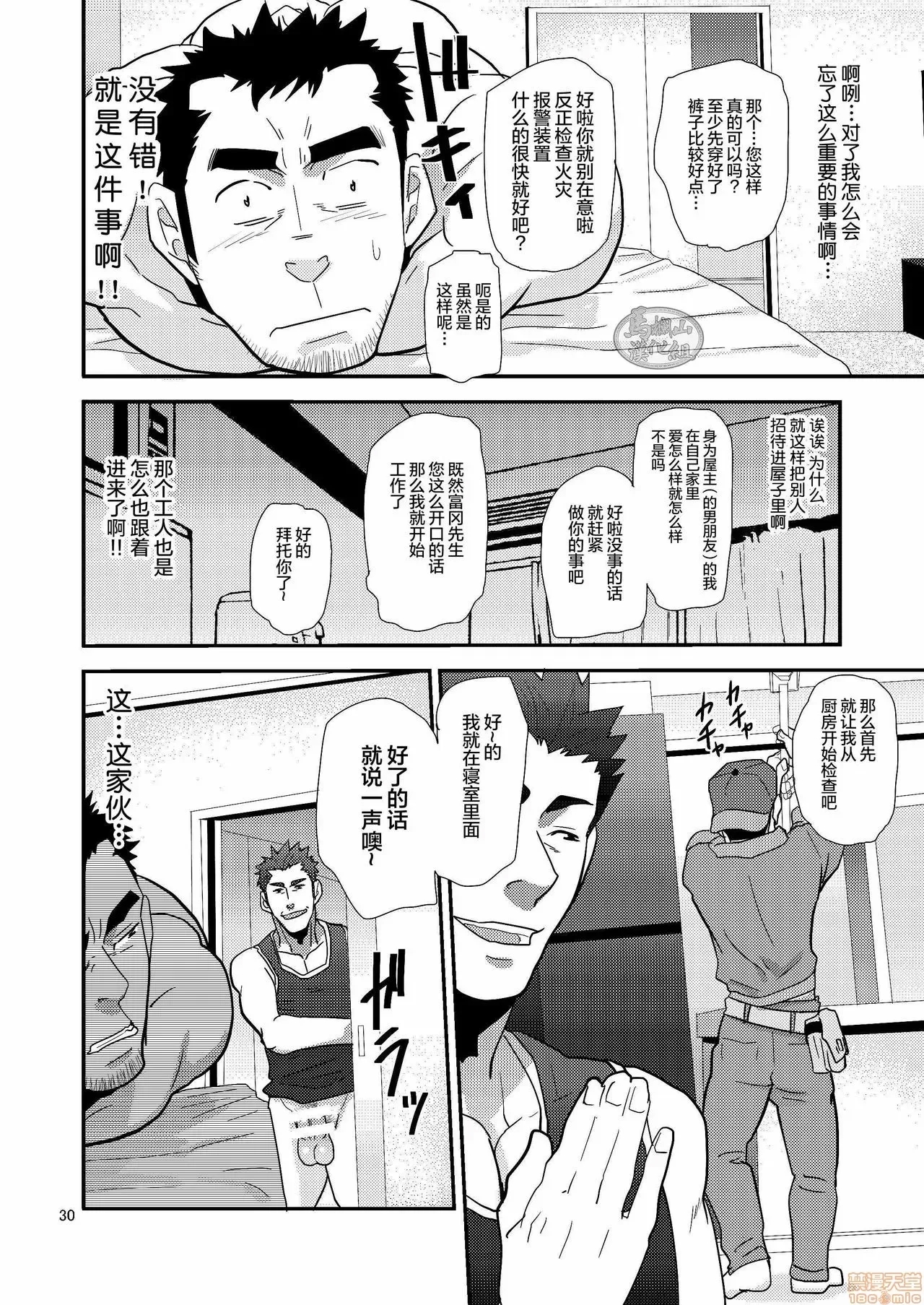 第 30 页