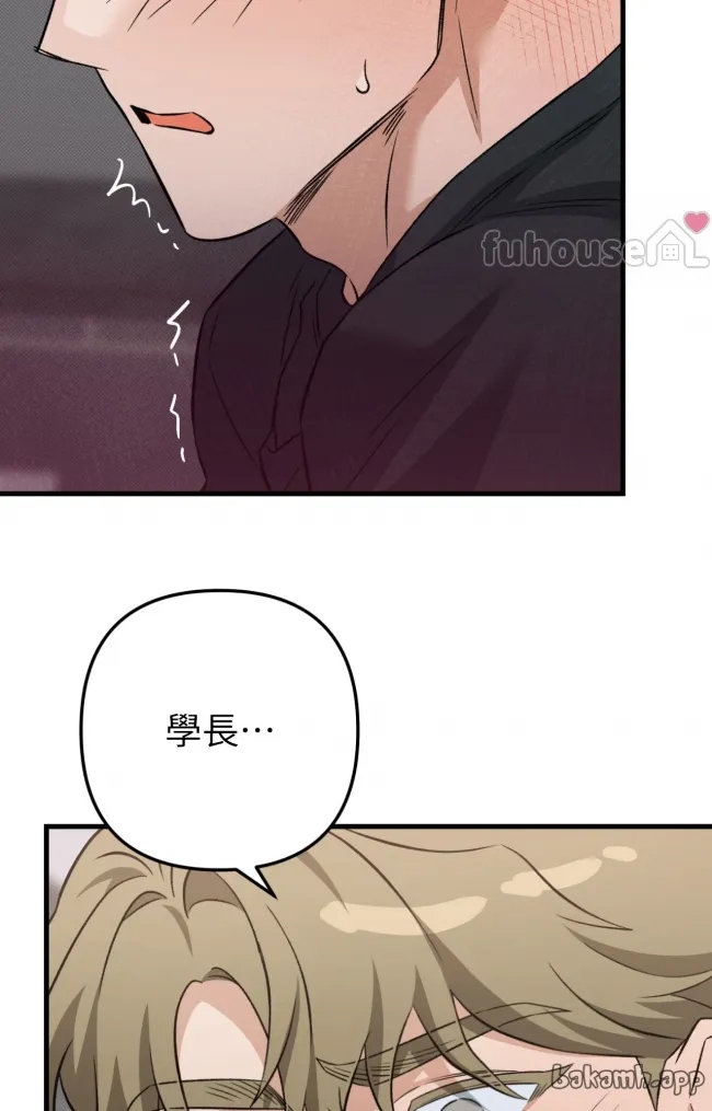 第 44 页