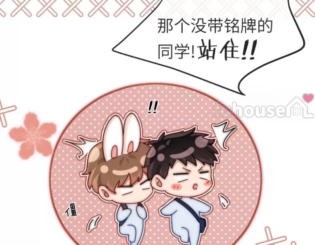 第 85 页