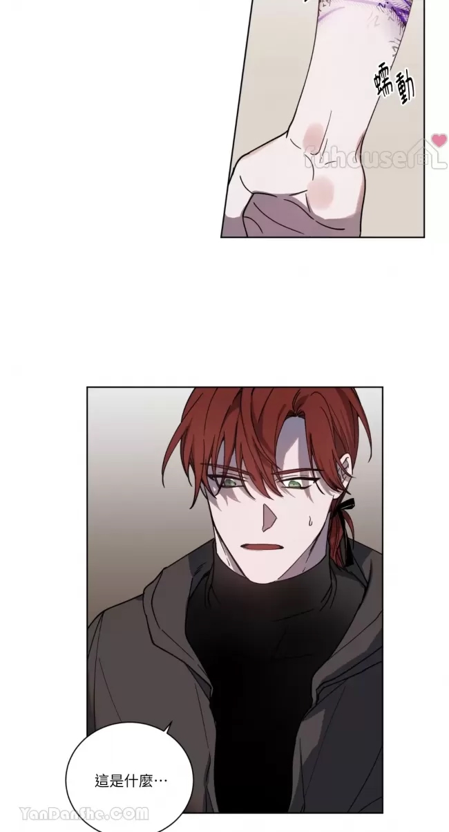 第 25 页