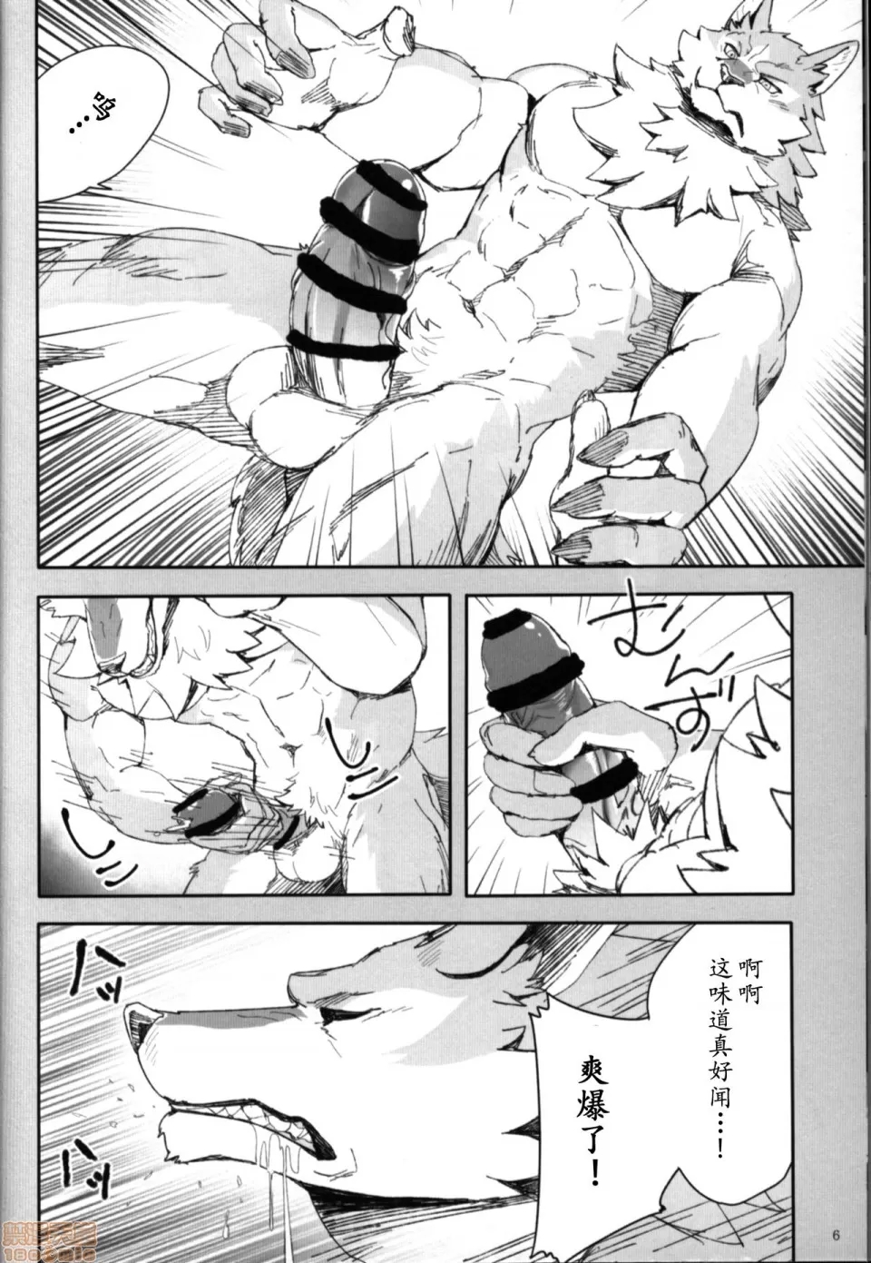 第 5 页