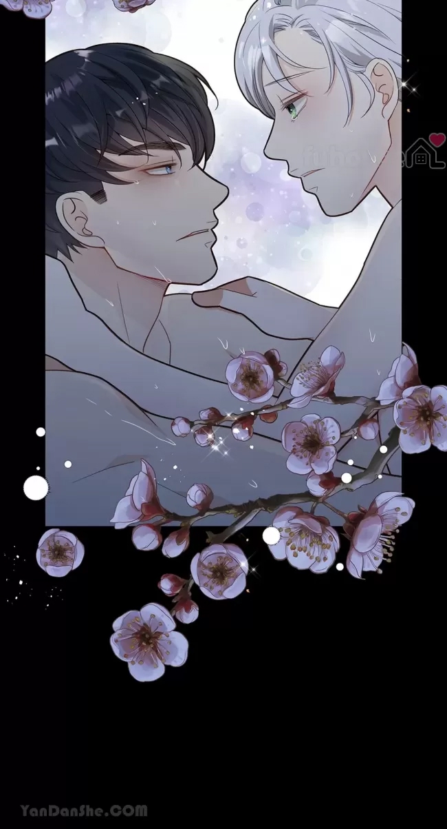 第 50 页