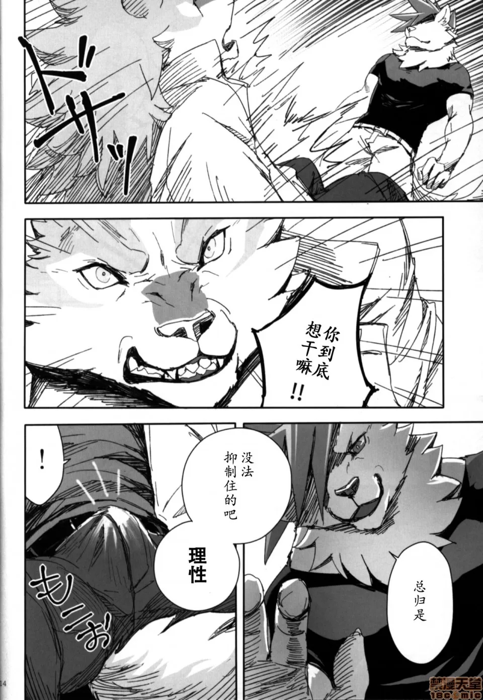 第 13 页