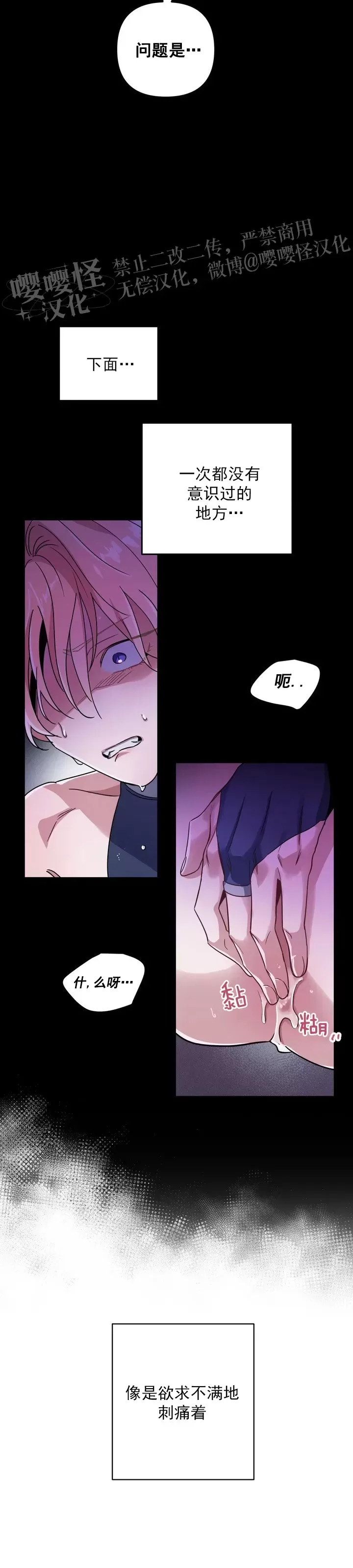 第 36 页