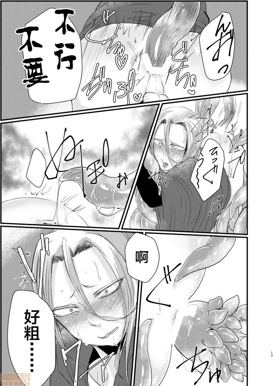 第 17 页