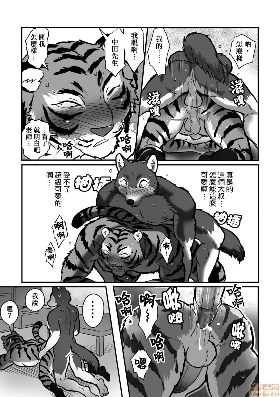 第 25 页