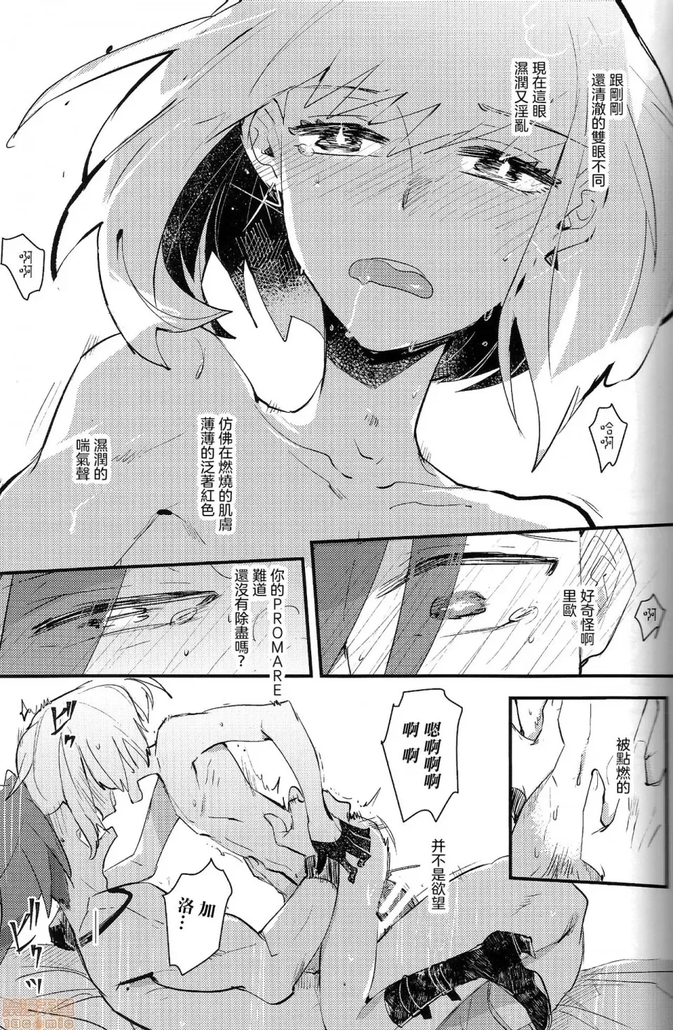 第 19 页