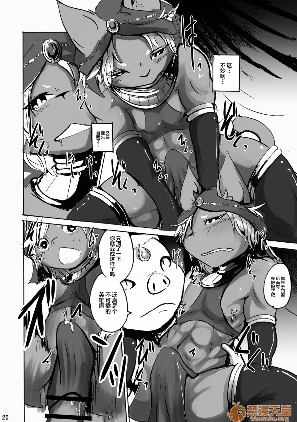 第 20 页