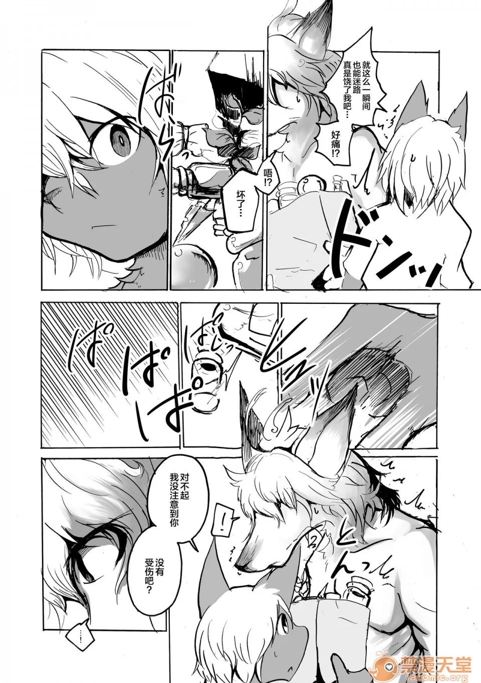 第 6 页