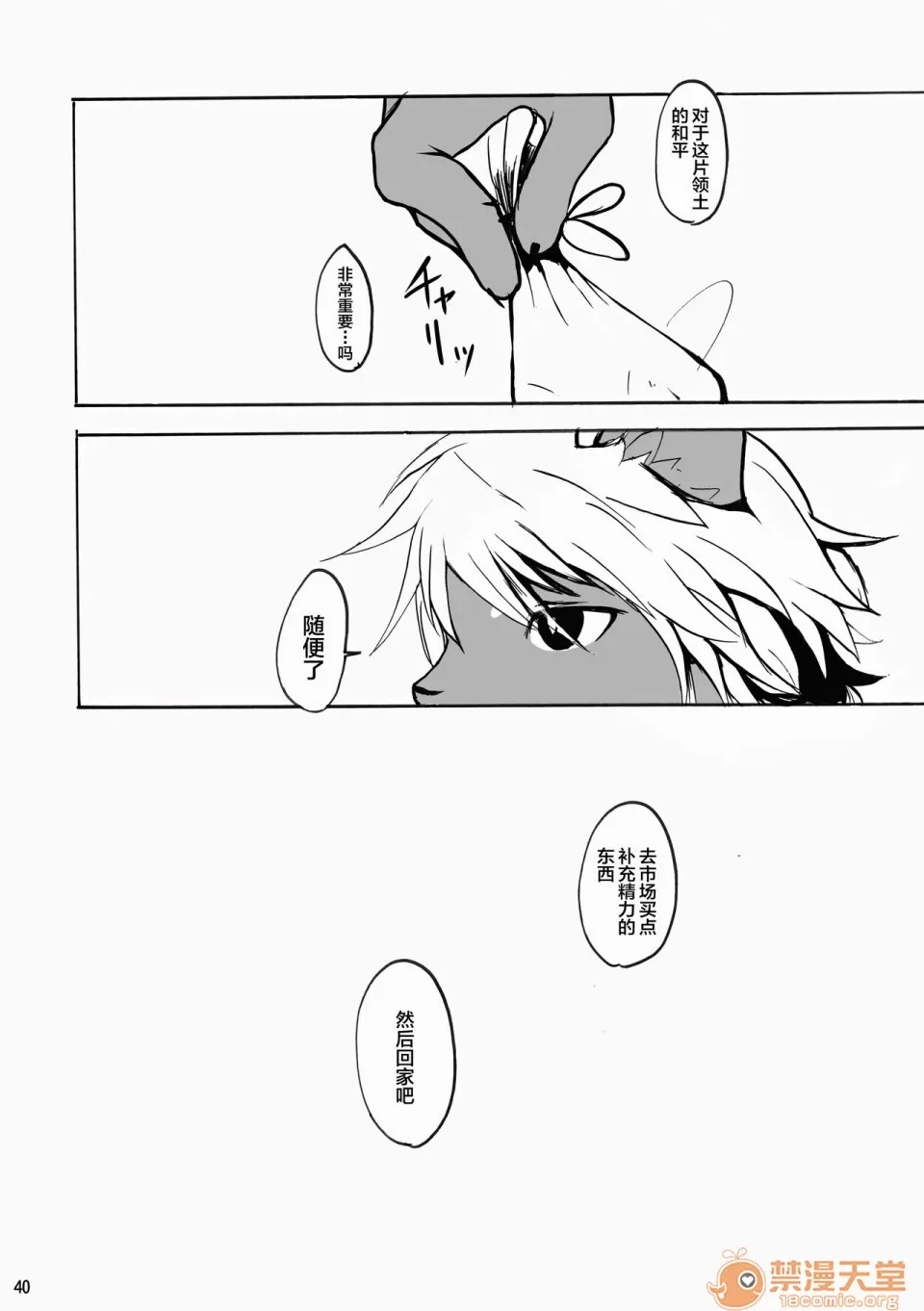第 40 页