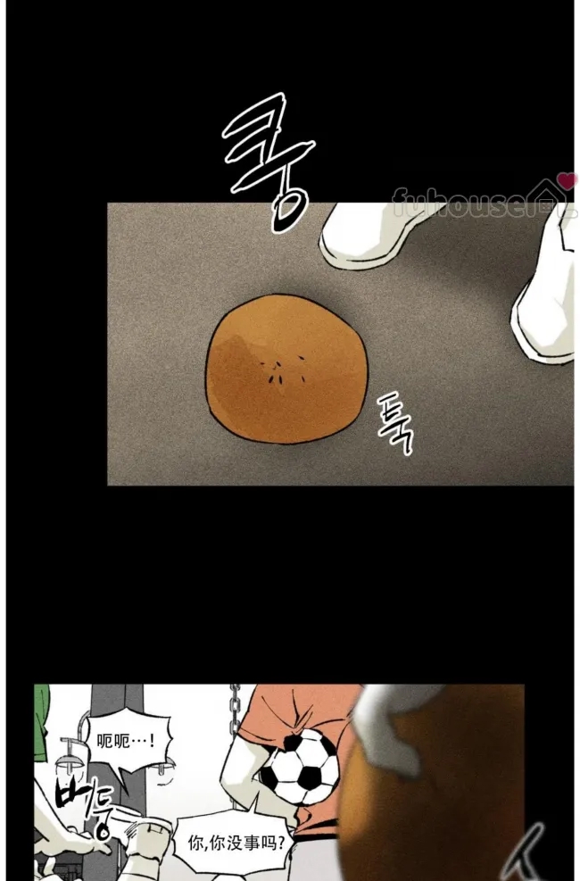 第 36 页