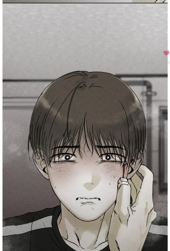第 41 页
