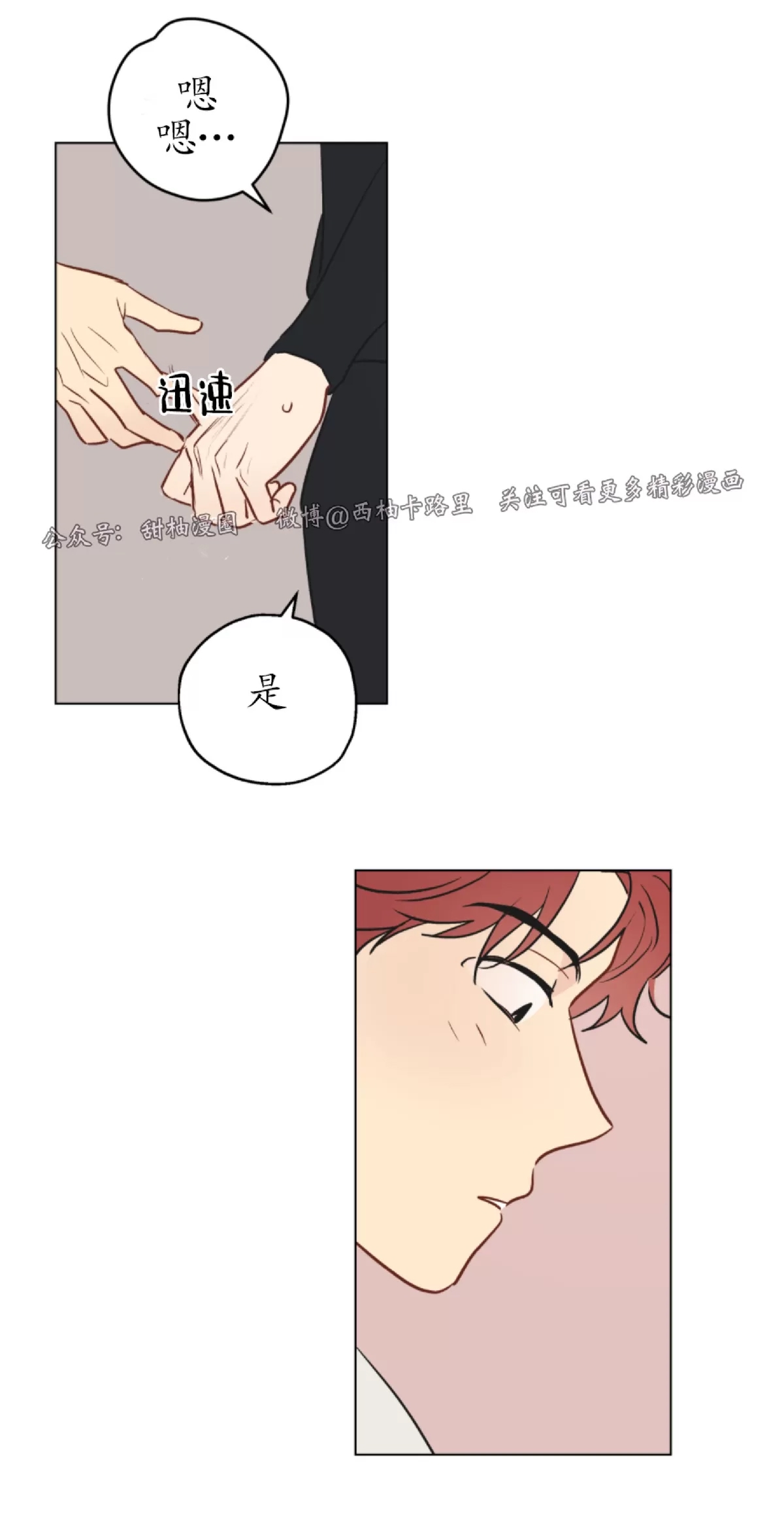第 55 页