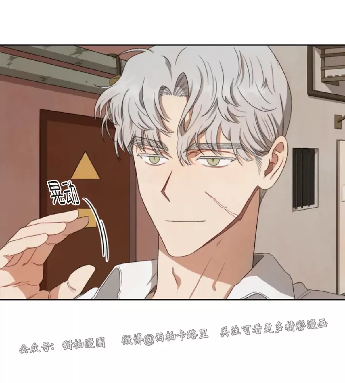 第 21 页