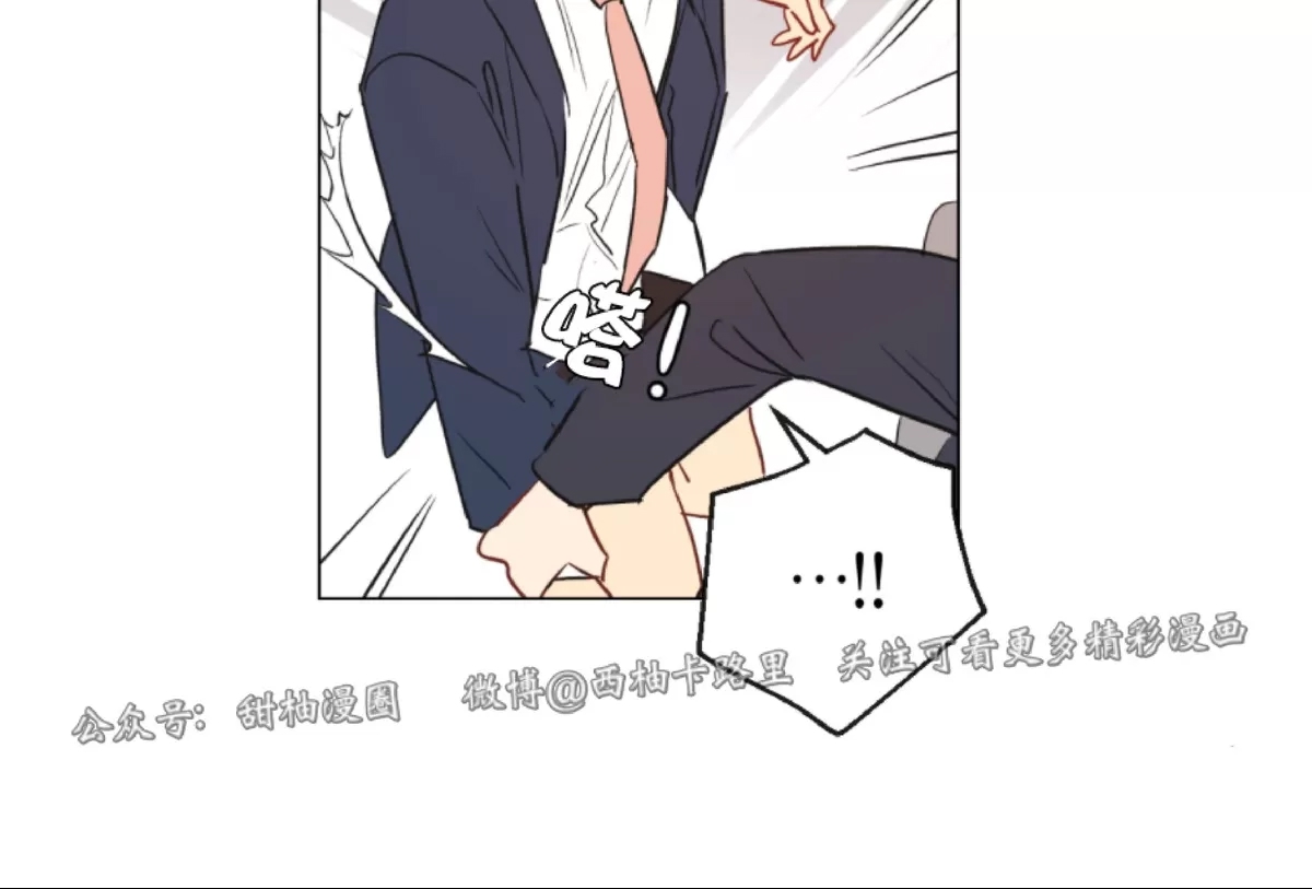 第 48 页