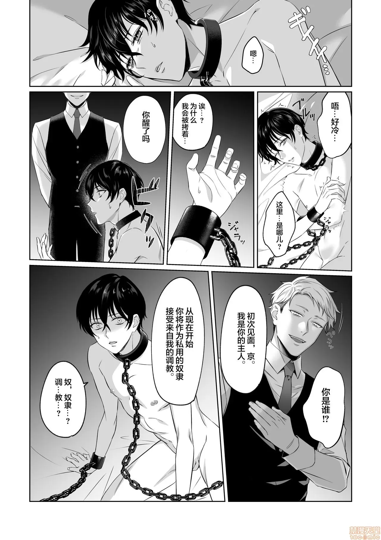 第 3 页