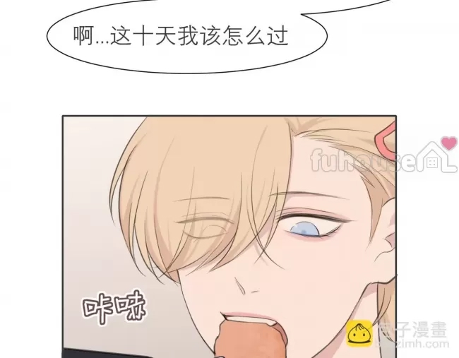 第 51 页