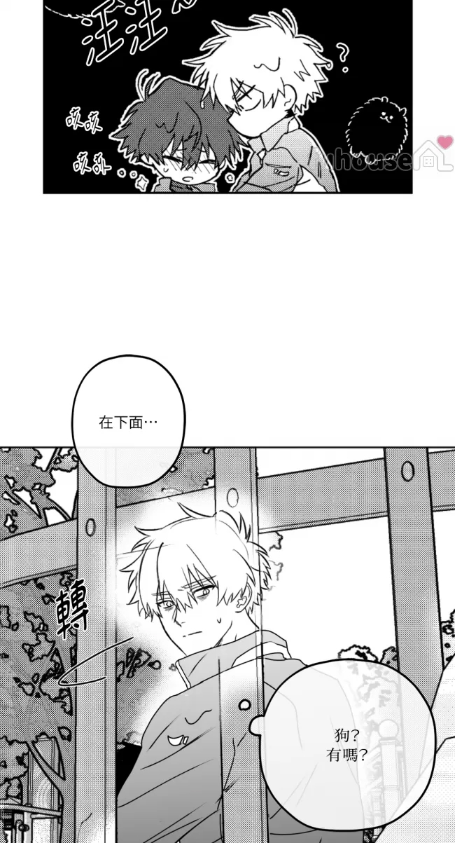 第 46 页