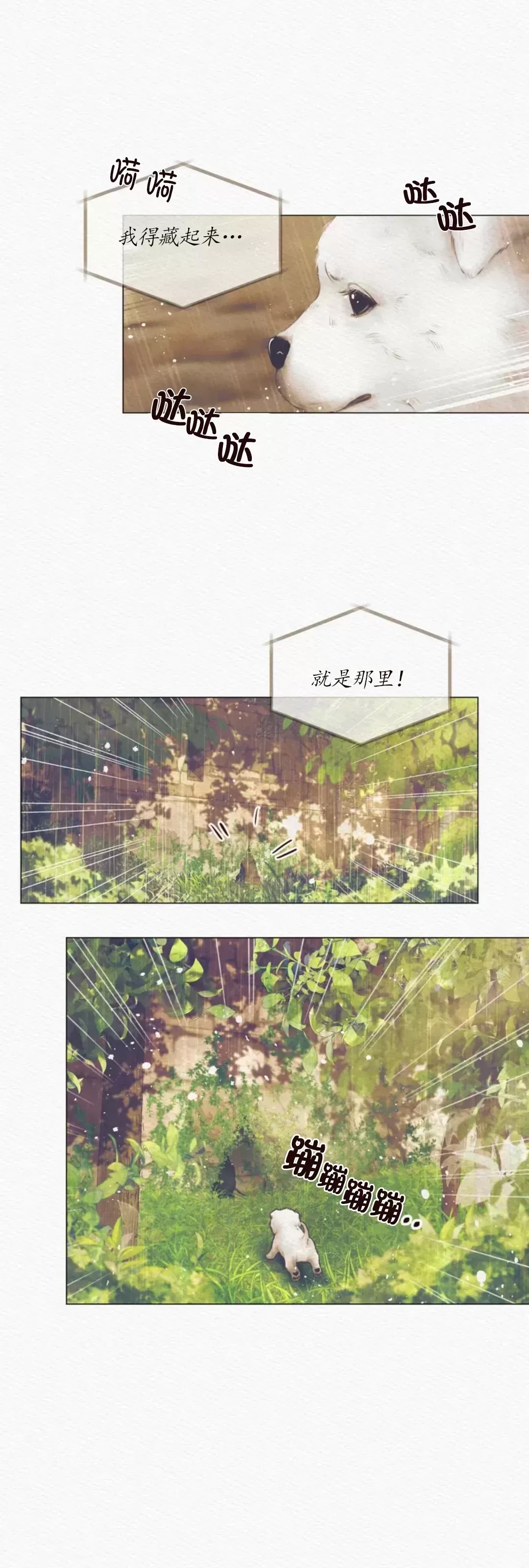 第 74 页