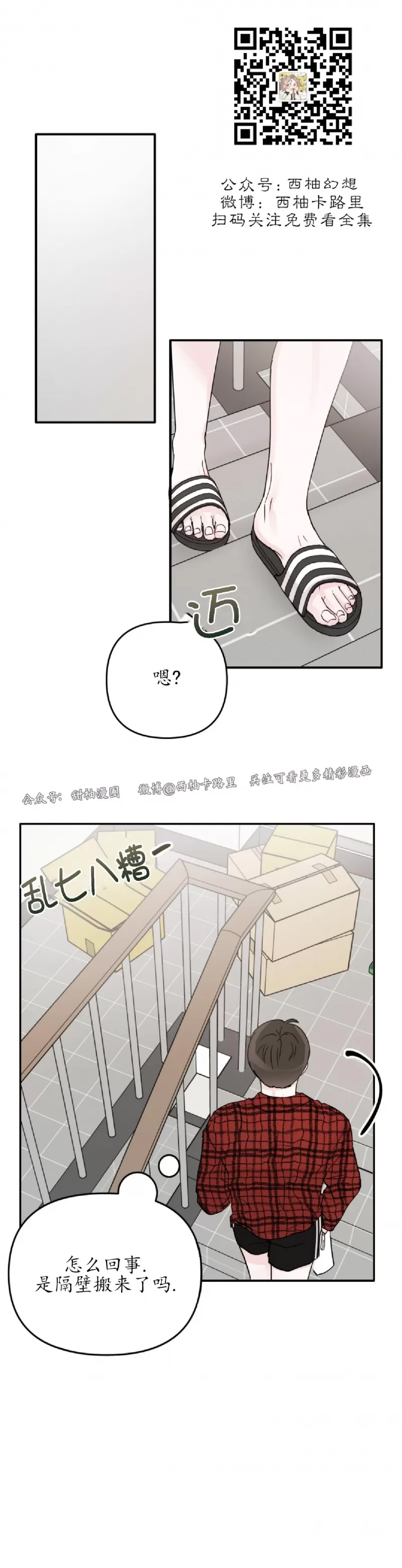 第 41 页