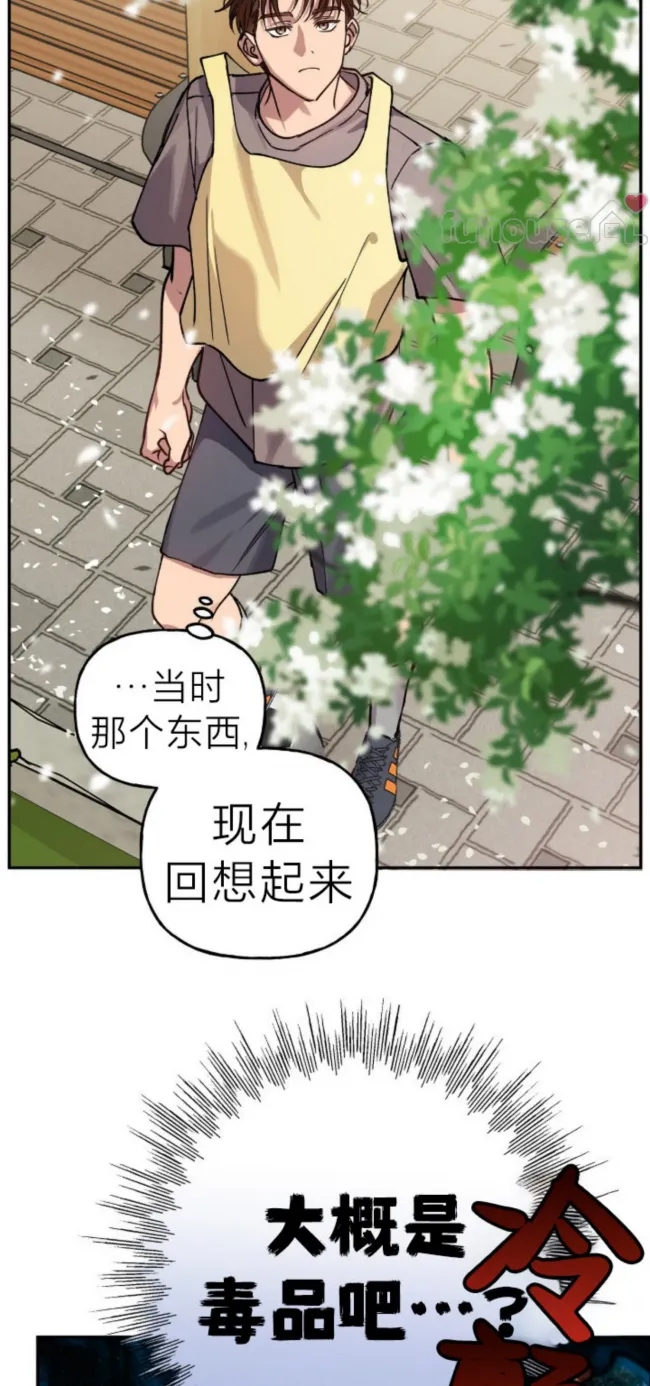 第 53 页