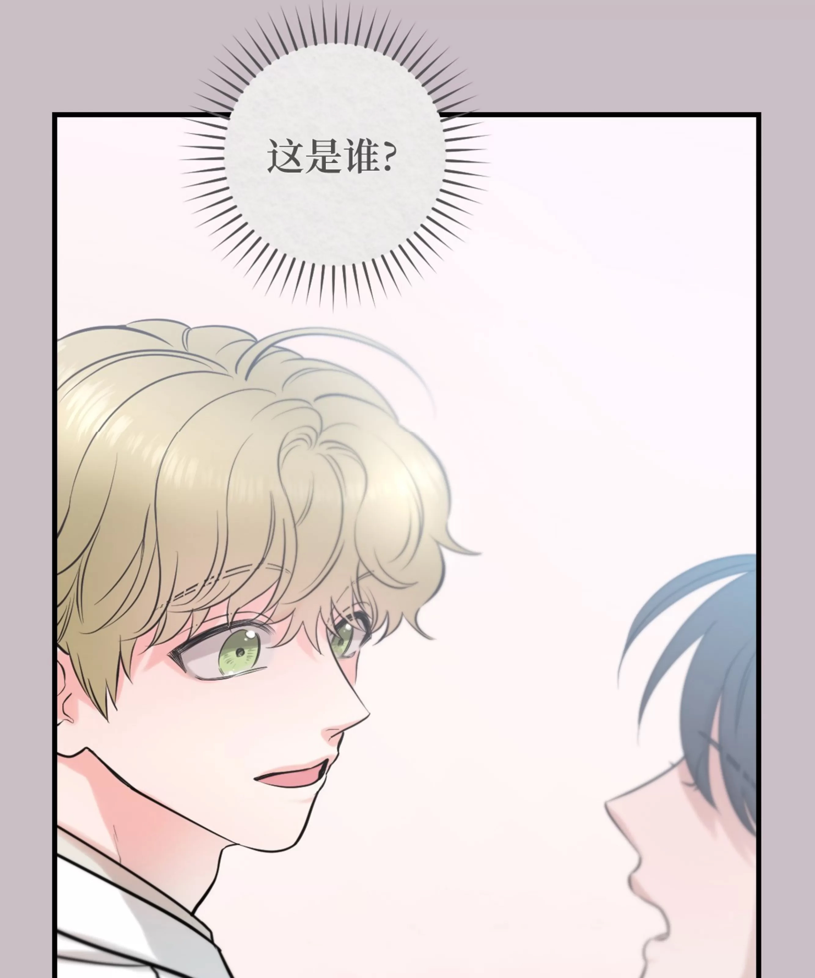 第 95 页