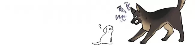 第 66 页