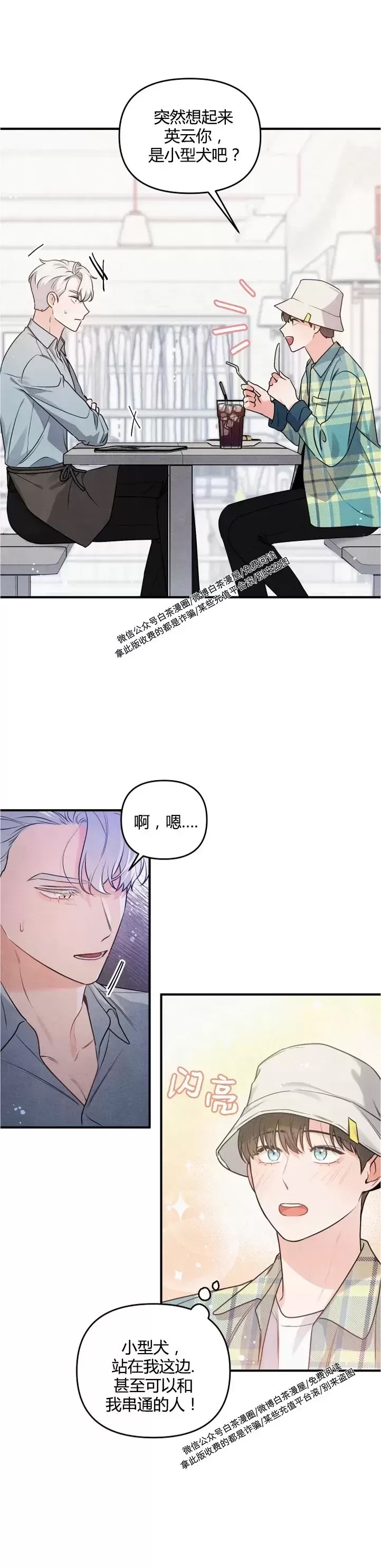 第 20 页