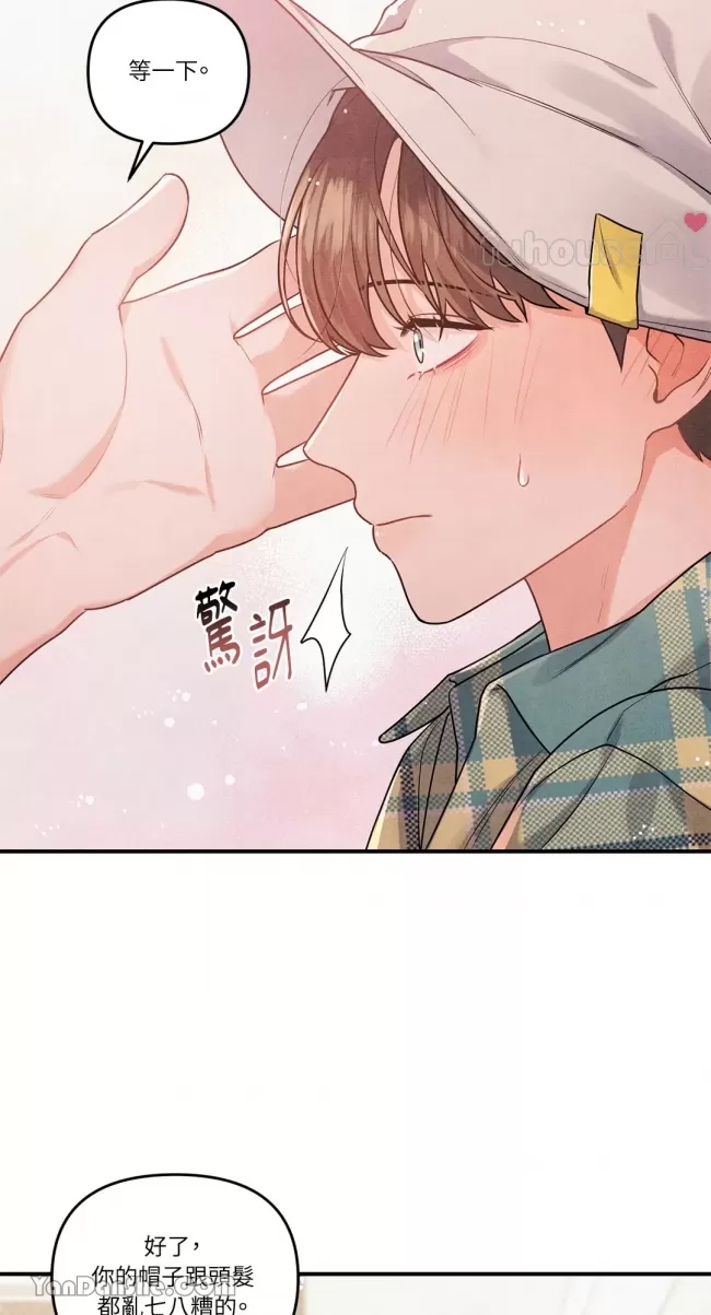 第 31 页