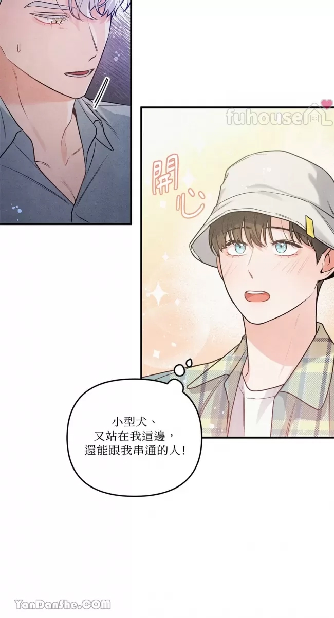 第 37 页
