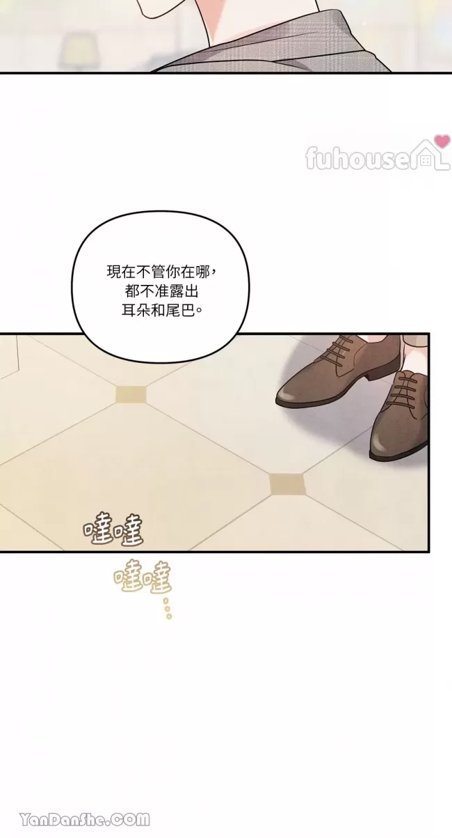 第 55 页