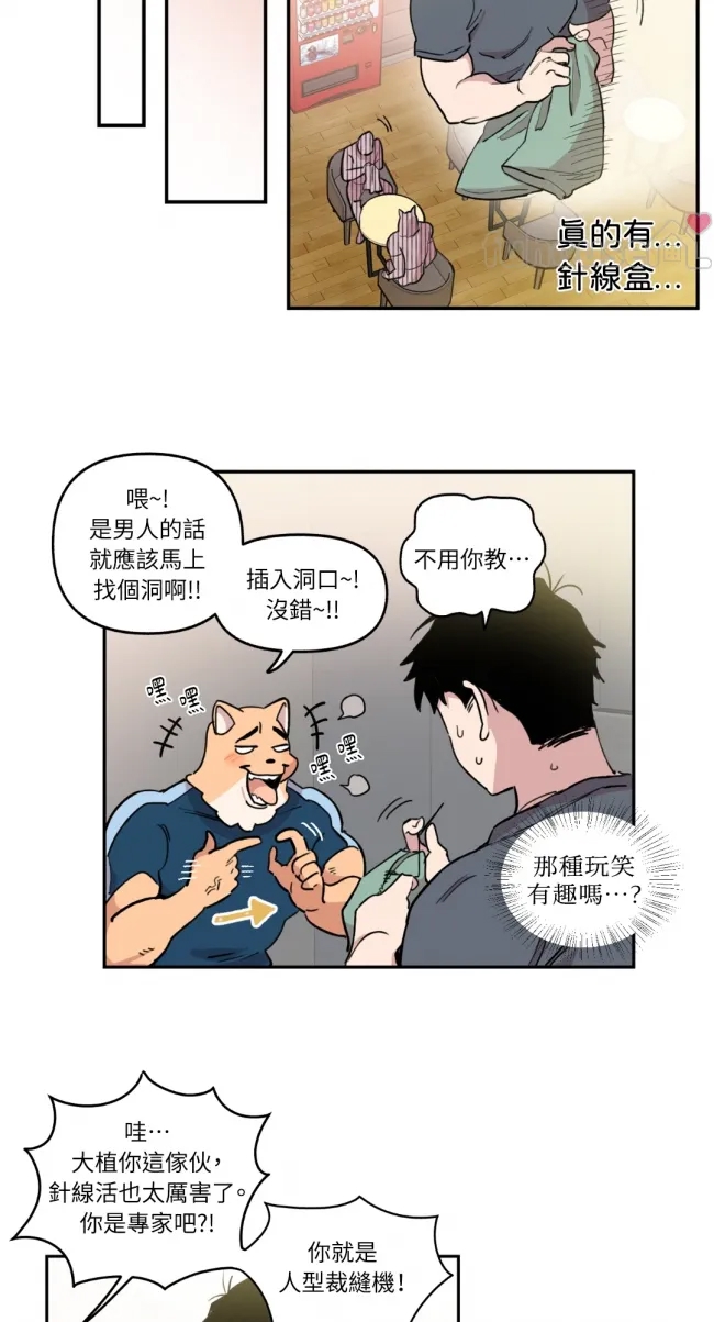 第 20 页