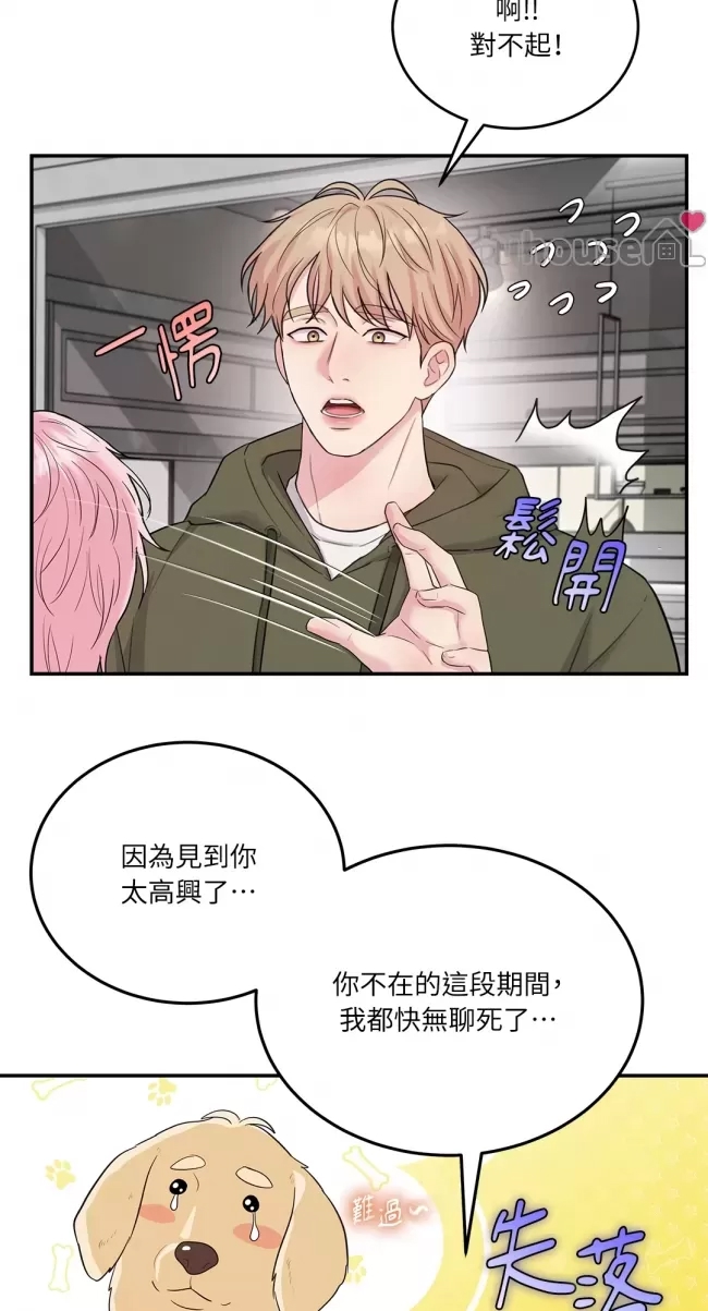 第 52 页