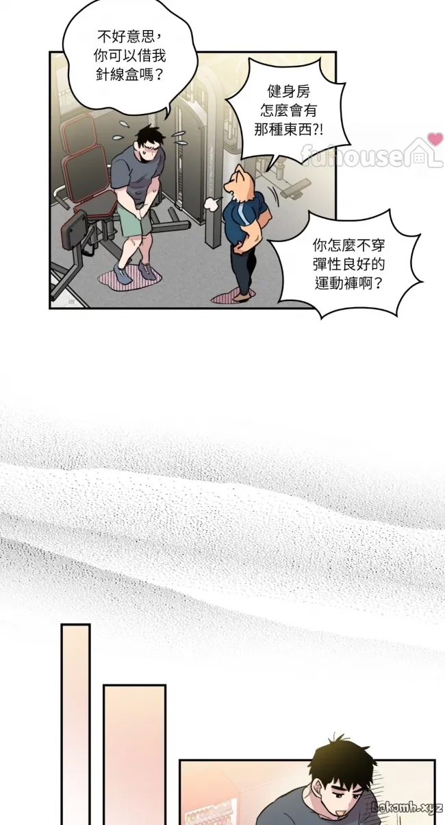 第 19 页