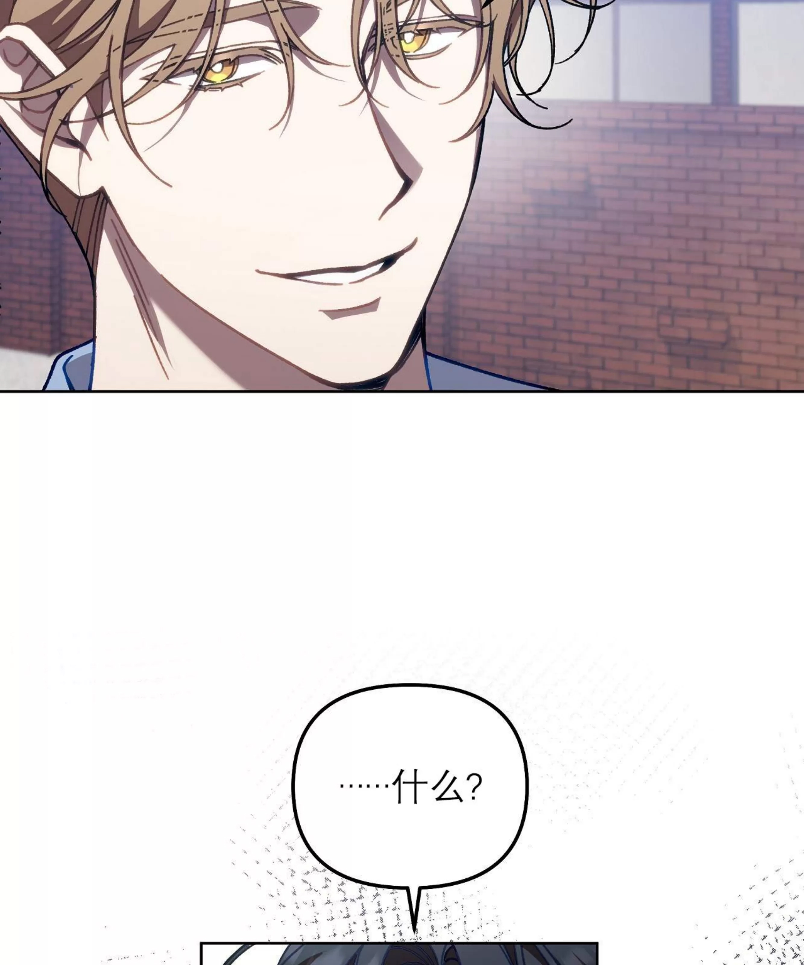 第 110 页